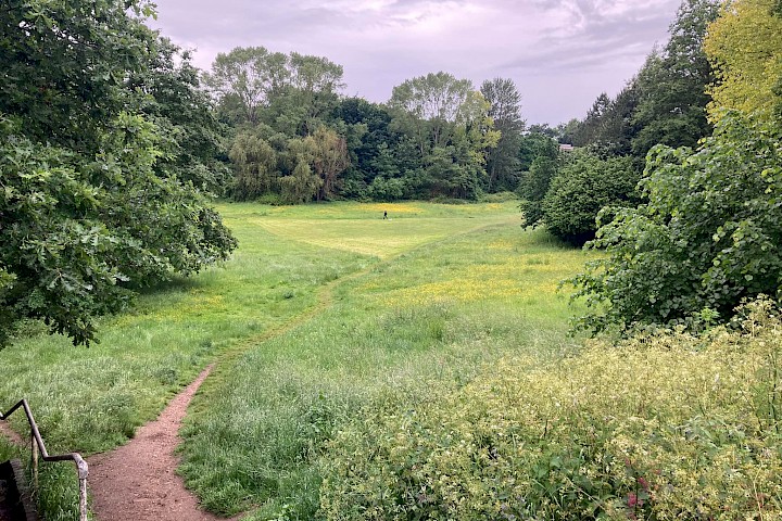 Fen Meadow survey results image